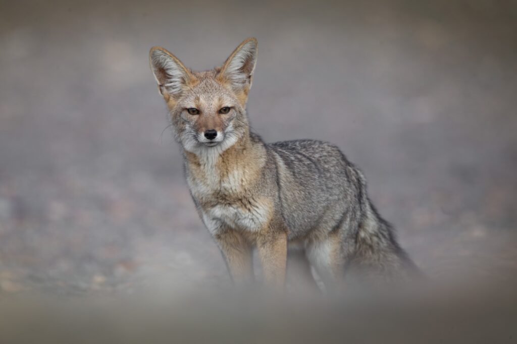 WhatsApp Image 2025 07 28 at 12.00.34