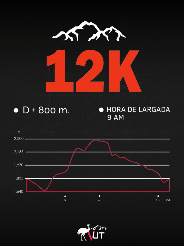 12K 100.jpg 1