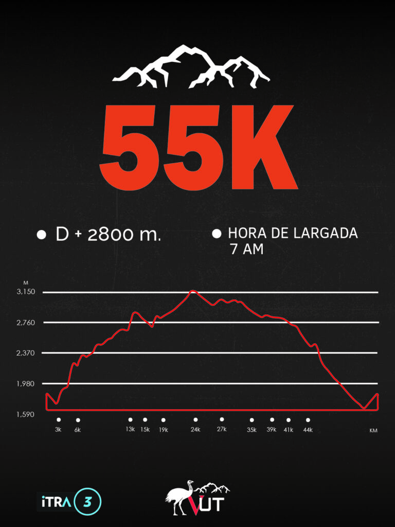 55K 100.jpg 1
